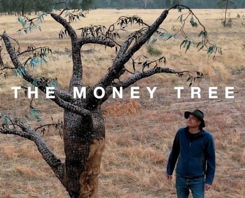 CS-MONEY-TREE